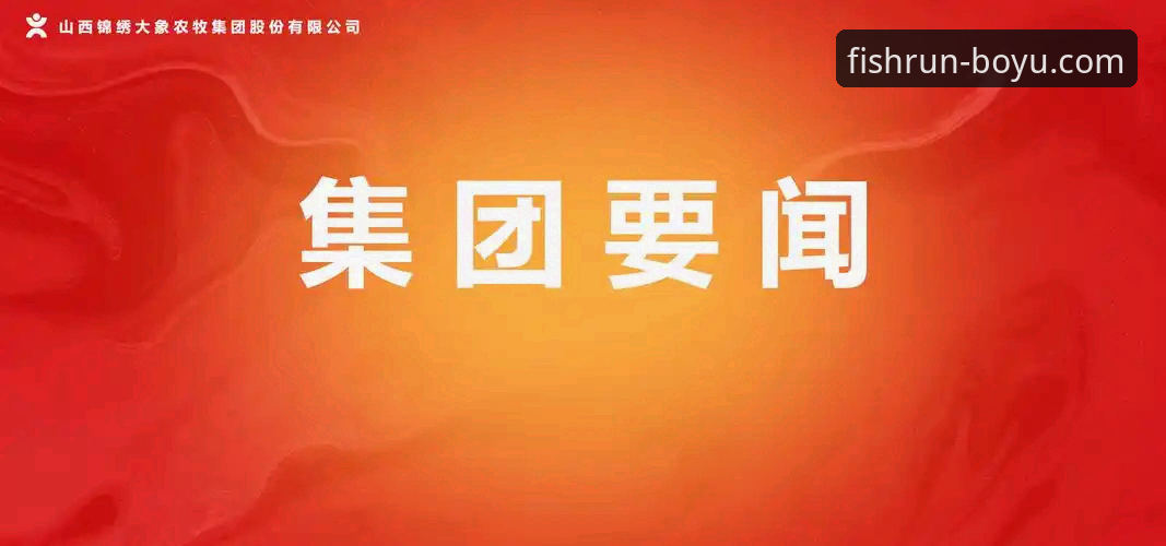 揭秘博鱼体育平台背后的真相：从下载到使用的全方位拆解